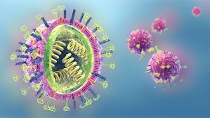 contagious with human metapneumovirus