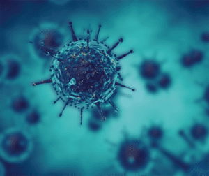contagious with human metapneumovirus