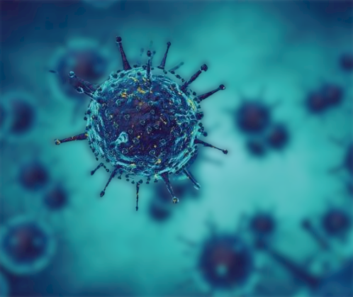 How Long Does Human Metapneumovirus Last