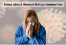 How-serious-is-human-metapneumovirus-afithelp.com